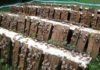 AgroAlimentaire | Tunisie : formation sanitaire pour l’élevage d’escargots