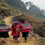 Tunisie–UNICEF : élargissement des écoles de la deuxième chance et lutte contre le décrochage scolaire