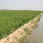 Gestion de l’eau : priorité à la maintenance des réseaux et à la lutte contre les branchements anarchiques