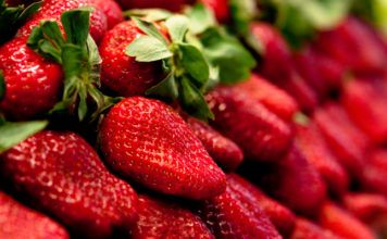 Tunisie : l’INSSPA dément les rumeurs sur la toxicité des fraises et rassure les consommateurs