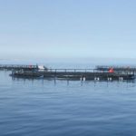 Un concours pour booster l’aquaculture durable en Tunisie et dans 4 autres pays ! Aquaculture