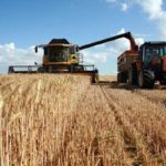 Siliana : 154 100 hectares ensemencés pour la saison céréalière 2026