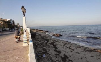 Tunisie : le WWF Afrique du Nord lance un projet d’économie circulaire pour valoriser les déchets marins