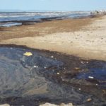 Banlieue sud de Tunis : vers une vision commune pour sauver le littoral de Hammam Lif et Hammam Chott