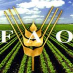 FAO : Stabilité des prix alimentaires mondiaux en août