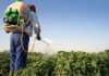 Tunisie : pesticides, sols et eau menacés par une agriculture intensive, selon une étude alarmante