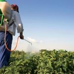 Tunisie : pesticides, sols et eau menacés par une agriculture intensive, selon une étude alarmante