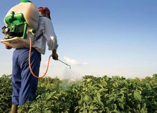 Tunisie : pesticides, sols et eau menacés par une agriculture intensive, selon une étude alarmante