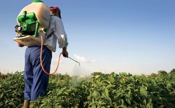 Tunisie : pesticides, sols et eau menacés par une agriculture intensive, selon une étude alarmante