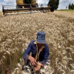 Souveraineté alimentaire en Afrique : non à la biodigitalisation imposée par les entreprises