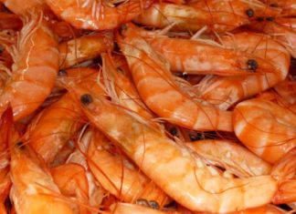 Tunisie–FAO : de nouvelles mesures régionales pour protéger les crevettes rouges, la langoustine et le pageot