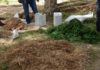 Agroécologie en Tunisie : une exploitation agricole de Tameghza devient ferme pilote de référence