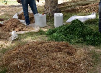 Agroécologie en Tunisie : une exploitation agricole de Tameghza devient ferme pilote de référence