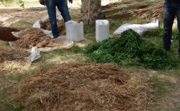 Agroécologie en Tunisie : une exploitation agricole de Tameghza devient ferme pilote de référence