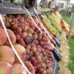 Tunisie : flambée des prix du poisson et des fruits en juin 2025 à Bir El Kassaa