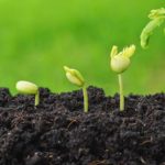 L’Econutri : Une nouvelle technologie pour l’agriculture verte