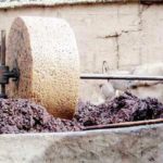 Monastir : rejet catégorique d’un projet de site de déversement des margines entre Touza et Jemmel