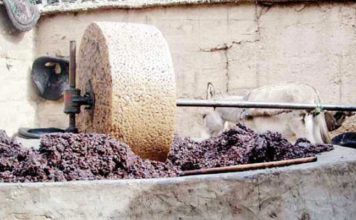 Monastir : rejet catégorique d’un projet de site de déversement des margines entre Touza et Jemmel