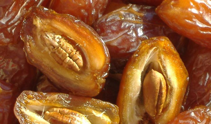 Publication du cahier des charges sur l'utilisation des AOC “Deglet Nour” de Nefzaoua et “grenades de Gabès” | Webmanagercenter