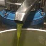 Le Conseil de la concurrence suspend le tarif de référence pour la trituration des olives en Tunisie huile d'olive