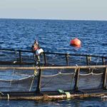 L’association italienne ALPO finance la formation de jeunes dans l’aquaculture en eau douce à Tozeur
