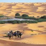 Kébili : Afflux de touristes européens et forte reprise du tourisme saharien en 2025