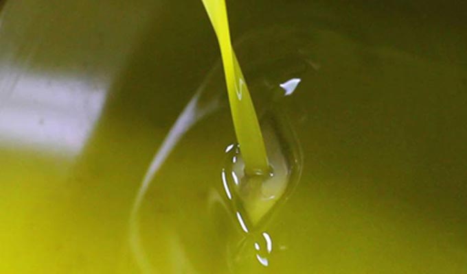 Produit de qualité, l'huile d'olive tunisienne est pourtant toujours  exportée en vrac | Webmanagercenter