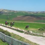 Journée de sensibilisation à Béja autour du projet “l’investissement responsable” Agriculture