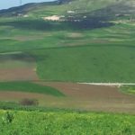 Zaghouan : Une terre domaniale agricole de 381 hectares revient dans le giron de l’Etat