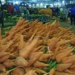 Distribution agricole : la Tunisie veut moderniser ses marchés et lutter contre l’informel