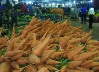 Distribution agricole : la Tunisie veut moderniser ses marchés et lutter contre l’informel