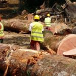 Afrique : Le Cameroun intègre l’Africa Finance Corporation