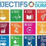 L’Unesco lance un appel à propositions pour le projet ” la Musique comme moteur de développement durable en Tunisie”