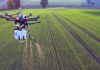 Agriculture