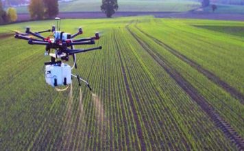 Tunisie : lancement du programme THINK GREEN pour soutenir l’entrepreneuriat vert dans le Sud et à Kairouan Agriculture