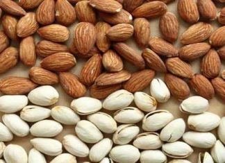 Kasserine : Majel Belabbès s’impose comme un pôle de production de pistaches et d’amandes