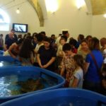 Un nouveau Centre méditerranéen de formation écologique à Monastir