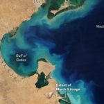Tunisie : une stratégie en trois piliers pour préserver le golfe de Gabès et ses ressources halieutiques Gabes
