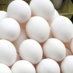 Prix des œufs de consommation : Baisse de 7,4% en janvier 2024 par rapport à 2023