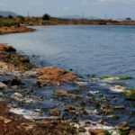 La Méditerranée désignée zone de contrôle des émissions d’oxydes de soufre et des particules