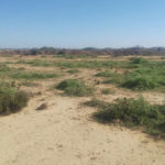 Kairouan : Récupération d’une terre domaniale de 11 ha à Oueslatia