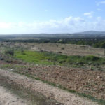 Tunisie : des terrains domaniaux cédés à prix réduits pour les ménages à faibles revenus Domaine public