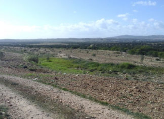 Tunisie : un nouvel arrêté facilite la régularisation des projets industriels sur terres agricoles Domaine public