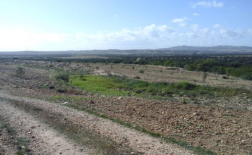 Tunisie : un nouvel arrêté facilite la régularisation des projets industriels sur terres agricoles Domaine public