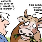 Consommation durable en Tunisie : coût, manque de produits et scepticisme freinent la transition