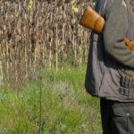 Saison de chasse en Tunisie : calendrier, espèces autorisées et conditions 2025/2026 Chasse