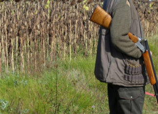 Chasse