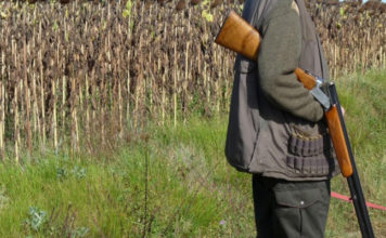 Chasse