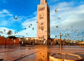 Tourisme et patrimoine : Tekaya prône une nouvelle approche éducative et environnementale