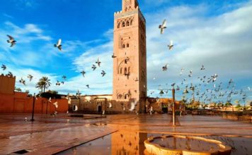 Tourisme et patrimoine : Tekaya prône une nouvelle approche éducative et environnementale